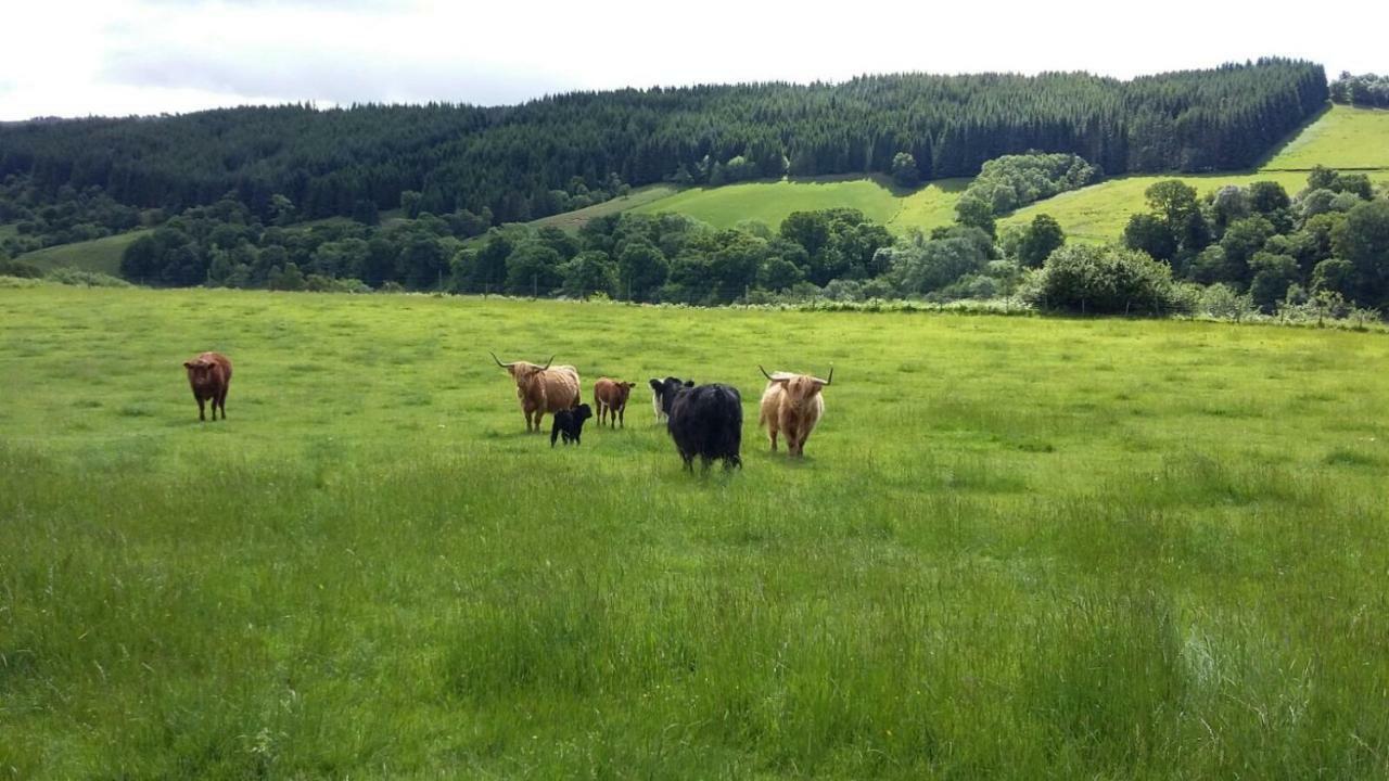 Loch Ness B And B Inverness Dış mekan fotoğraf